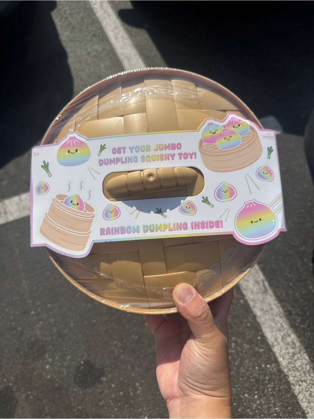 Jumbo Squishy Mystery Dumpling Toy New Sealed Rainbow